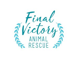 Final Victory Animal Rescue – Pick Me! SC